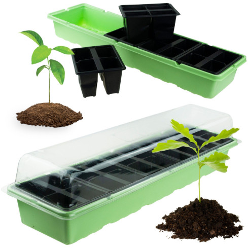 Mini szklarnia kiełkownik inspekt rozsada 20 komór