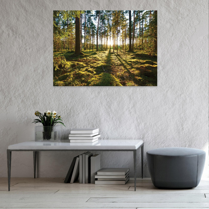 Obraz Na Płótnie LAS DRZEWA NATURA Duży 60x40