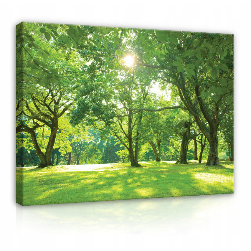 Obraz Na Płótnie DRZEWA ŁĄKA NATURA Duży 60x40