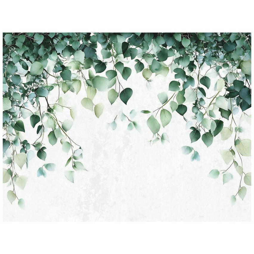 FOTOTAPETA LIŚCIE ZIELONE NATURA KUCHNIA SYPIALNIA SALON TAPETA 200x140