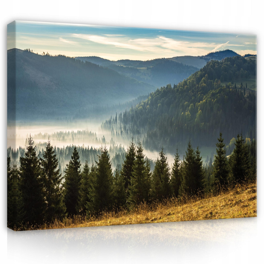 Obraz Na Płótnie GÓRY KRAJOBRAZ Natura Las 120x80