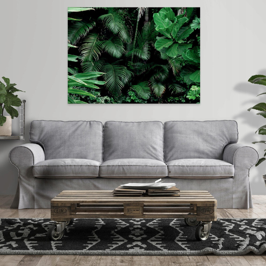 Obraz Na Płótnie ZIELONE LIŚCIE Dżungla 60x40