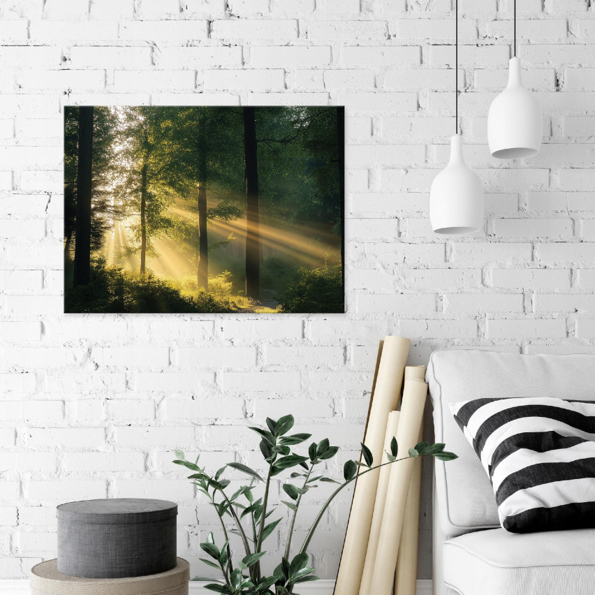 OBRAZ NA PŁÓTNIE ŚCIANĘ LAS NATURA DRZEWA DO SYPIALNI SALONU KUCHNI 120x80 PP15429