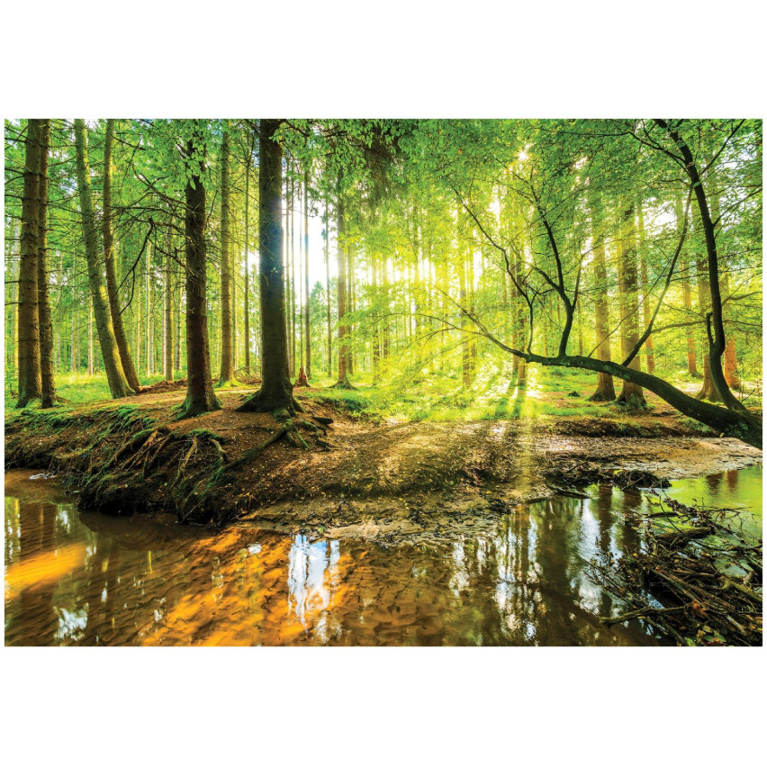 FOTOTAPETA LAS SŁOŃCE DO SYPIALNI SALONU TAPETA ŚCIENNA FLIZELINA 300x210