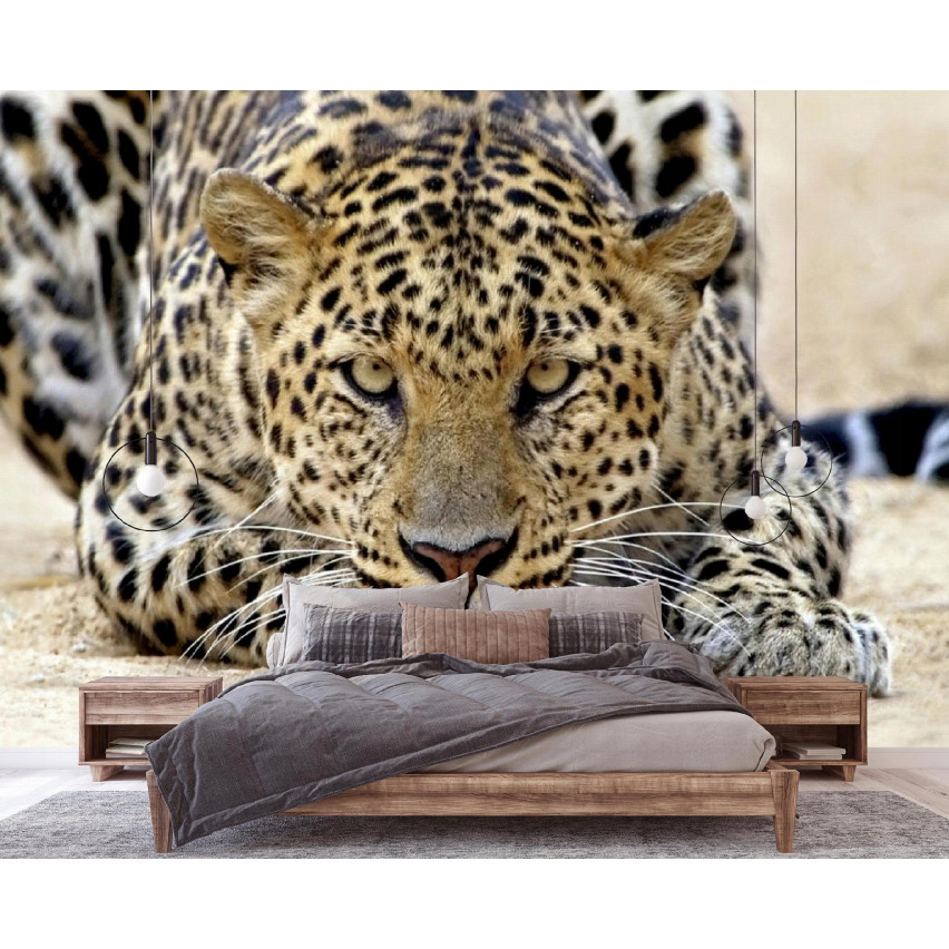 FOTOTAPETA JAGUAR AFRYKA TYGRYS DO SYPIALNI SALONU TAPETA ŚCIENNA 200x140