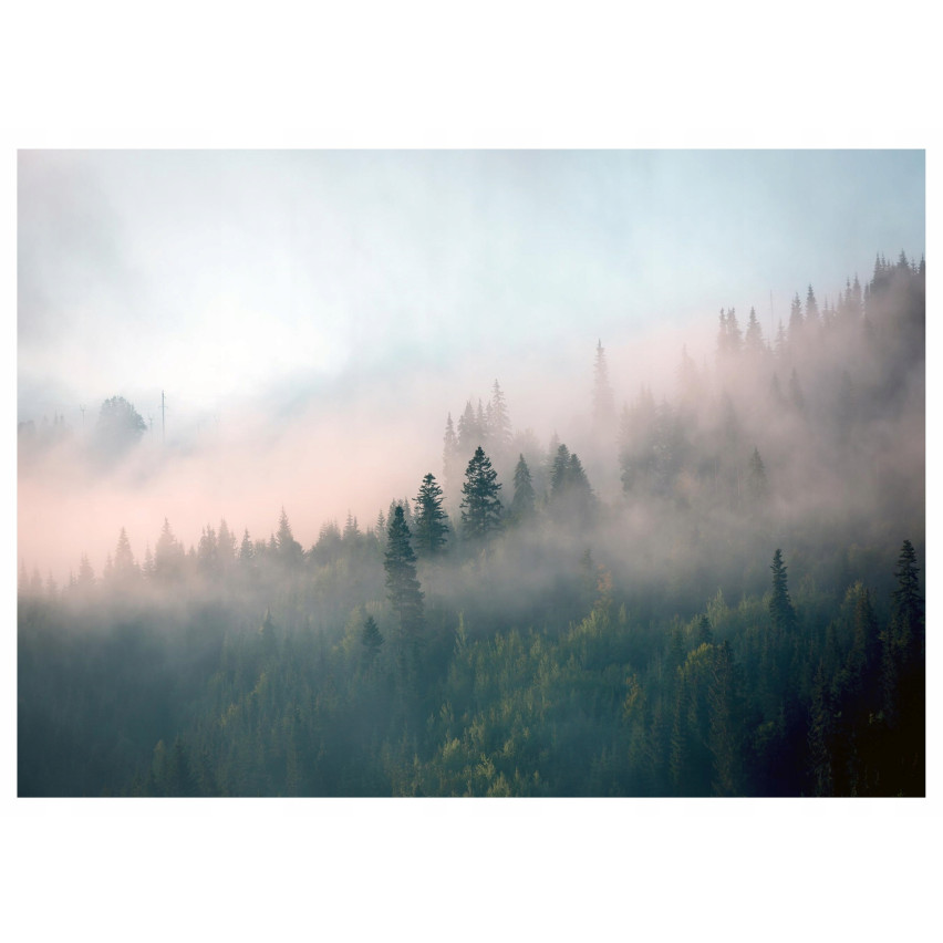 FOTOTAPETA LAS WE MGLE DO SYPIALNI SALONU NATURA TAPETA NA ŚCIANĘ 350x250