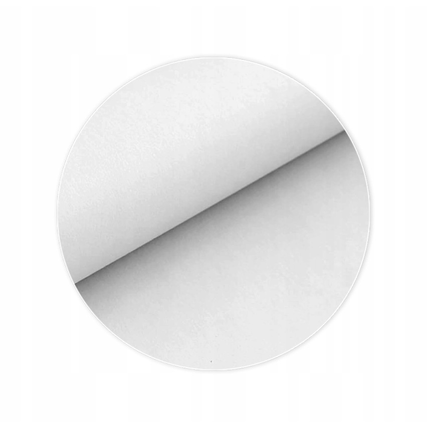 FOTOTAPETA LIŚCIE PALMY BETON BOHO KUCHNIA SYPIALNIA SALON TAPETA 150x105
