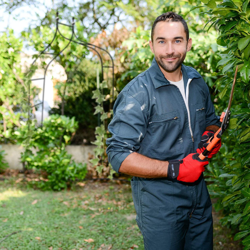 Elegancka pergola łukowa na róże i rośliny pnące