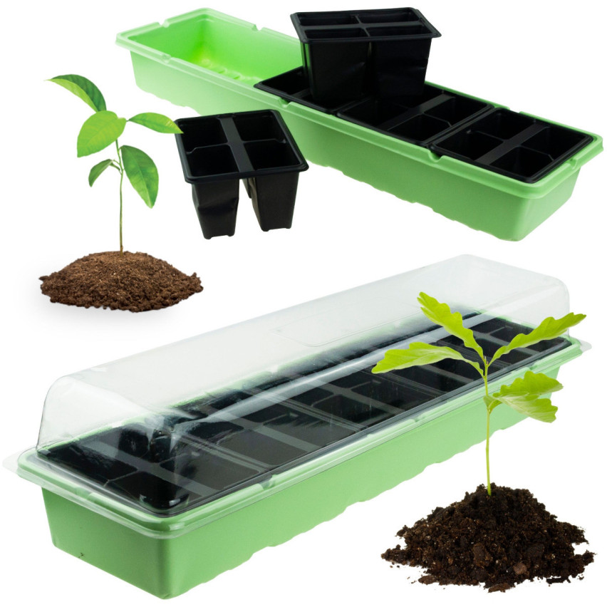 Mini szklarnia kiełkownik inspekt rozsada 20 komór
