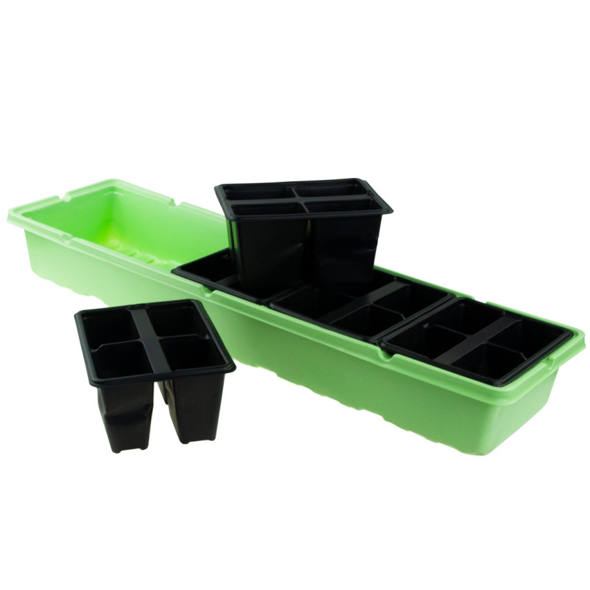 Mini szklarnia kiełkownik inspekt rozsada 20 komór