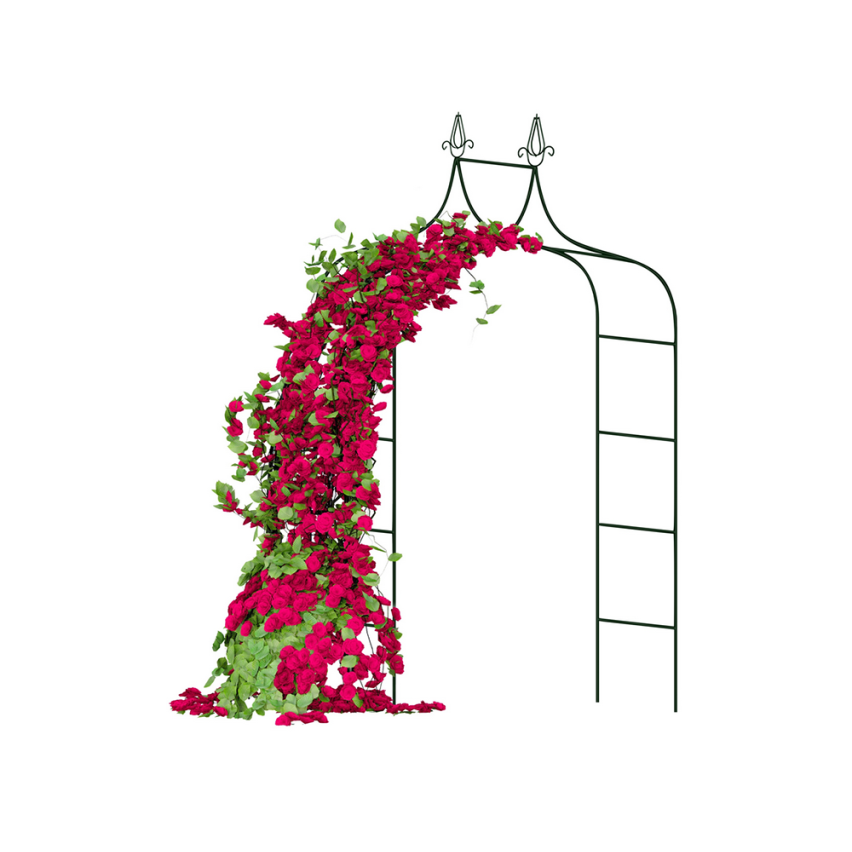 Elegancka pergola łukowa na róże i rośliny pnące